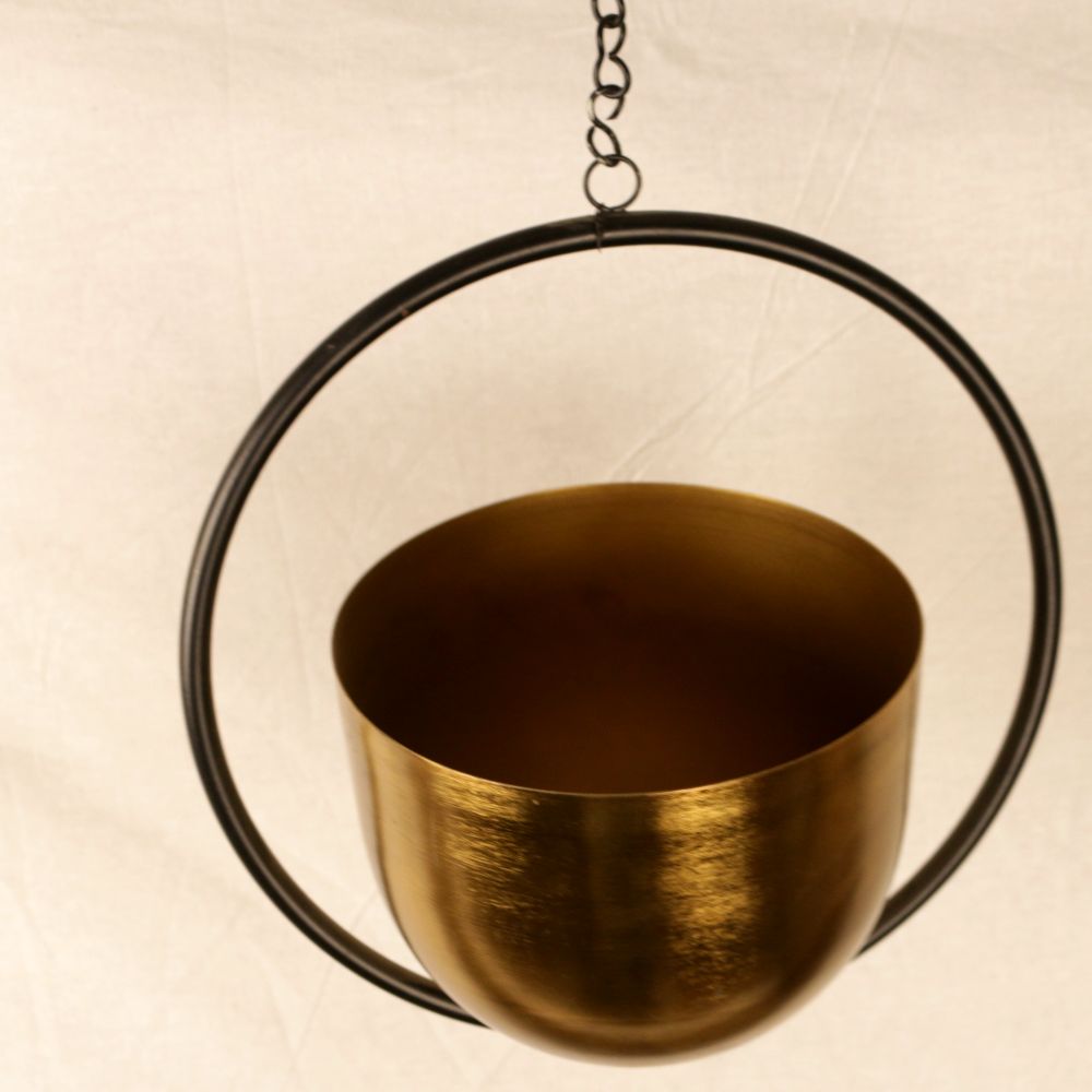 hanging ring planter RING PLANTER – DealzWagon.com
